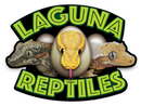 Laguna Reptiles