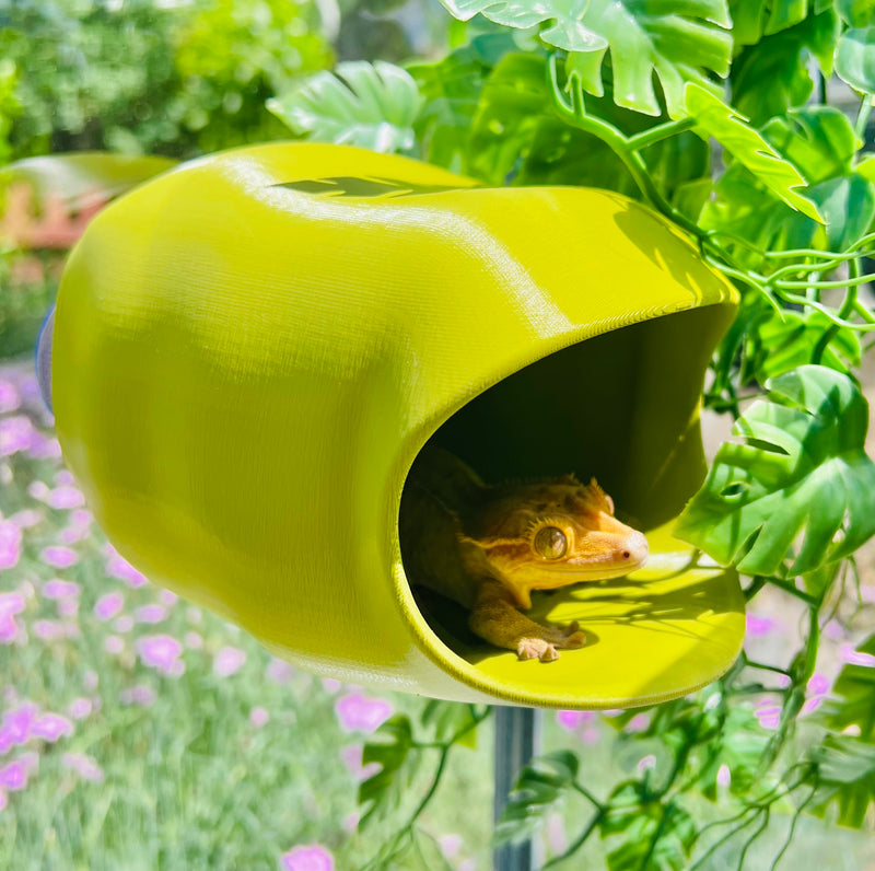 Hidey-Hole (Large) - Reptile Hide