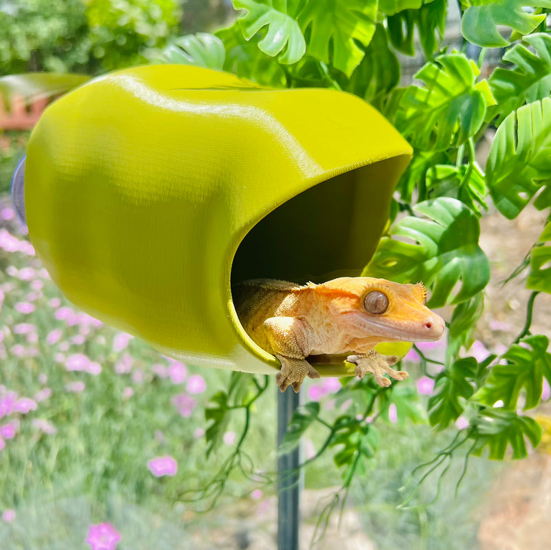 Hidey-Hole (Large) - Reptile Hide